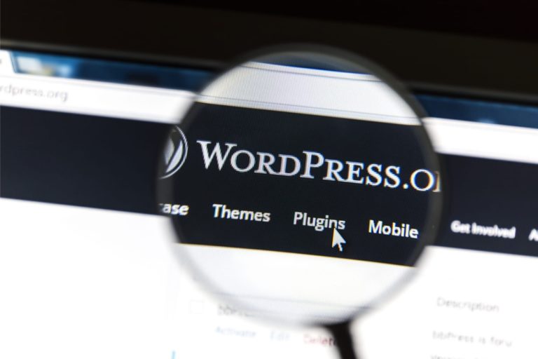 Using WordPress Plugins in Your Website Development