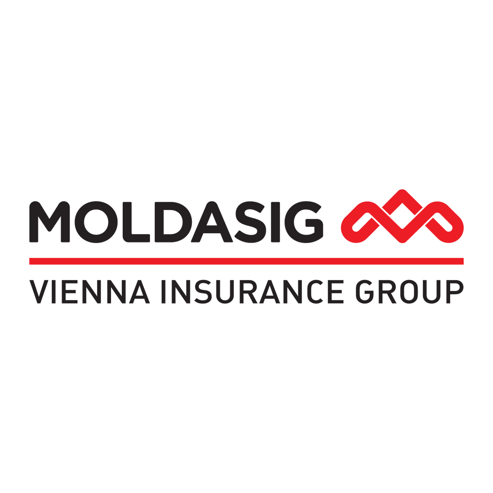 Moldasig new logo, designed by New Light Digital