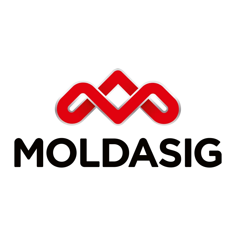Moldasig original logo, before our rebrand